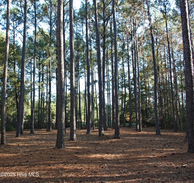 Rare supersized .76 lot acre. Golf Course homesite in a on Ocean Ridge Plantation in North Carolina - for sale on GolfHomes.com, golf home, golf lot