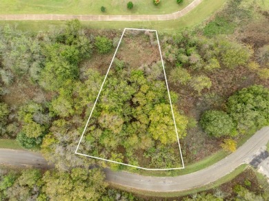 BUILDERS! Purchase 40 individual lots inside the sought-after on White Bluff Resort - Old Course in Texas - for sale on GolfHomes.com, golf home, golf lot