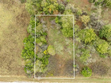 BUILDERS! Purchase 40 individual lots inside the sought-after on White Bluff Resort - Old Course in Texas - for sale on GolfHomes.com, golf home, golf lot