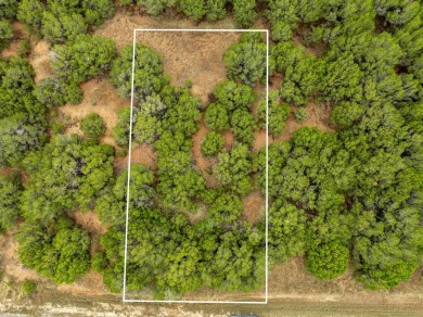 BUILDERS! Purchase 40 individual lots inside the sought-after on White Bluff Resort - Old Course in Texas - for sale on GolfHomes.com, golf home, golf lot