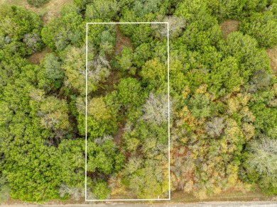 BUILDERS! Purchase 40 individual lots inside the sought-after on White Bluff Resort - Old Course in Texas - for sale on GolfHomes.com, golf home, golf lot