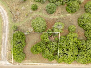 BUILDERS! Purchase 40 individual lots inside the sought-after on White Bluff Resort - Old Course in Texas - for sale on GolfHomes.com, golf home, golf lot