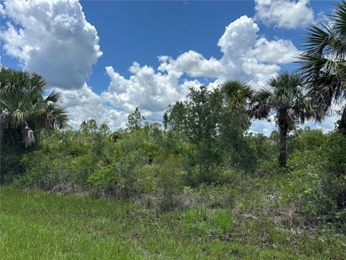 Discover an outstanding opportunity to own a vacant lot in the on Sabal Trace Golf and Country Club in Florida - for sale on GolfHomes.com, golf home, golf lot