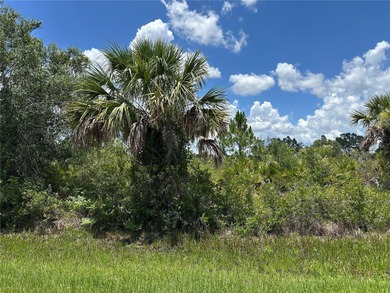 Discover an outstanding opportunity to own a vacant lot in the on Sabal Trace Golf and Country Club in Florida - for sale on GolfHomes.com, golf home, golf lot
