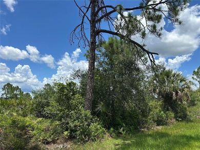Discover an outstanding opportunity to own a vacant lot in the on Sabal Trace Golf and Country Club in Florida - for sale on GolfHomes.com, golf home, golf lot