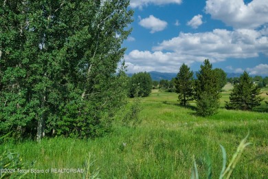 Welcome to your dream retreat at Teton Springs! Nestled among on Teton Springs Resort and Club in Idaho - for sale on GolfHomes.com, golf home, golf lot