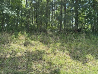 0.72 acre lot located in the prestigious neighborhood of Mount on Mount Vintage Plantation and Golf Club  in South Carolina - for sale on GolfHomes.com, golf home, golf lot
