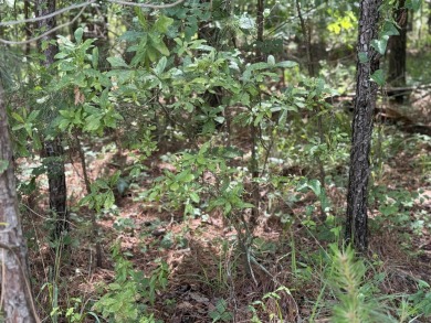 0.72 acre lot located in the prestigious neighborhood of Mount on Mount Vintage Plantation and Golf Club  in South Carolina - for sale on GolfHomes.com, golf home, golf lot