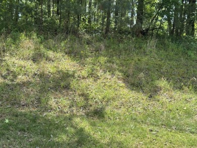 0.72 acre lot located in the prestigious neighborhood of Mount on Mount Vintage Plantation and Golf Club  in South Carolina - for sale on GolfHomes.com, golf home, golf lot