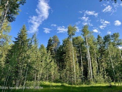 Highly sought after location in a quiet corner of Teton Springs on Teton Springs Resort and Club in Idaho - for sale on GolfHomes.com, golf home, golf lot