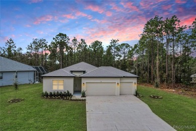Absolutely stunning Brand-New construction 4-Bedroom 3-Bathroom on Sugarmill Woods Golf and Country Club in Florida - for sale on GolfHomes.com, golf home, golf lot