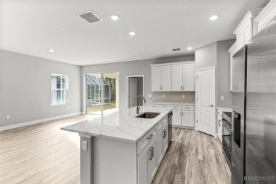 Absolutely stunning Brand-New construction 4-Bedroom 3-Bathroom on Sugarmill Woods Golf and Country Club in Florida - for sale on GolfHomes.com, golf home, golf lot