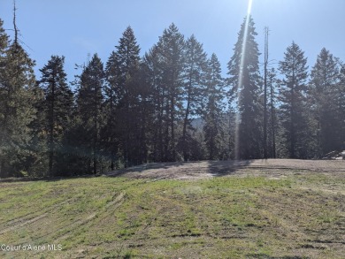 Beautiful Vacant Lot Just 5 Minutes from Downtown Coeur d'Alene! on Coeur D Alene Resort Golf Course in Idaho - for sale on GolfHomes.com, golf home, golf lot