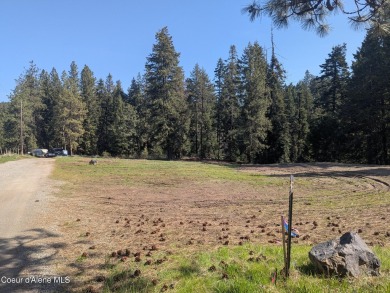 Beautiful Vacant Lot Just 5 Minutes from Downtown Coeur d'Alene! on Coeur D Alene Resort Golf Course in Idaho - for sale on GolfHomes.com, golf home, golf lot