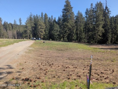Beautiful Vacant Lot Just 5 Minutes from Downtown Coeur d'Alene! on Coeur D Alene Resort Golf Course in Idaho - for sale on GolfHomes.com, golf home, golf lot