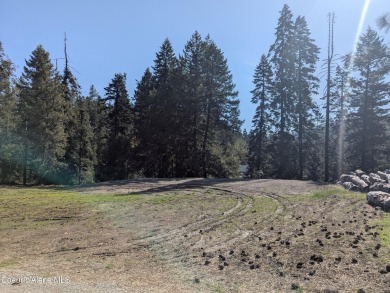 Beautiful Vacant Lot Just 5 Minutes from Downtown Coeur d'Alene! on Coeur D Alene Resort Golf Course in Idaho - for sale on GolfHomes.com, golf home, golf lot