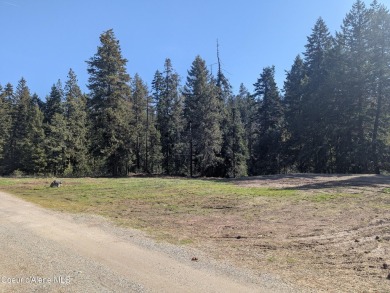 Beautiful Vacant Lot Just 5 Minutes from Downtown Coeur d'Alene! on Coeur D Alene Resort Golf Course in Idaho - for sale on GolfHomes.com, golf home, golf lot