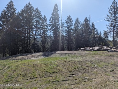 Beautiful Vacant Lot Just 5 Minutes from Downtown Coeur d'Alene! on Coeur D Alene Resort Golf Course in Idaho - for sale on GolfHomes.com, golf home, golf lot