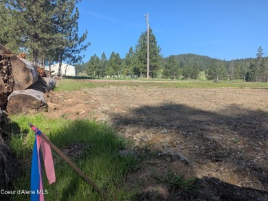 Beautiful Vacant Lot Just 5 Minutes from Downtown Coeur d'Alene! on Coeur D Alene Resort Golf Course in Idaho - for sale on GolfHomes.com, golf home, golf lot