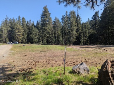 Beautiful Vacant Lot Just 5 Minutes from Downtown Coeur d'Alene! on Coeur D Alene Resort Golf Course in Idaho - for sale on GolfHomes.com, golf home, golf lot
