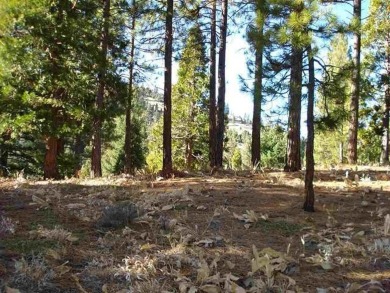 This approximately 0.42-acre lot is nestled in the gated on Grizzly Ranch Golf Club in California - for sale on GolfHomes.com, golf home, golf lot