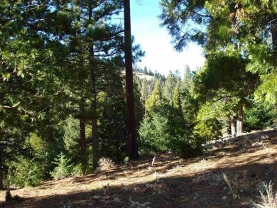 This approximately 0.42-acre lot is nestled in the gated on Grizzly Ranch Golf Club in California - for sale on GolfHomes.com, golf home, golf lot