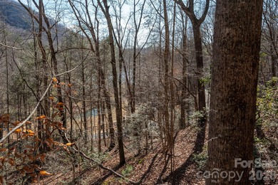 Come see this pretty, sloping lot with distant lake views on Rumbling Bald Resort on Lake Lure in North Carolina - for sale on GolfHomes.com, golf home, golf lot
