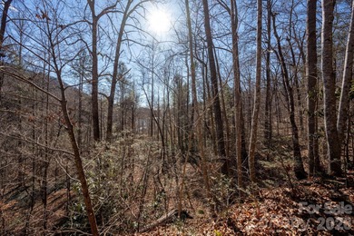 Come see this pretty, sloping lot with distant lake views on Rumbling Bald Resort on Lake Lure in North Carolina - for sale on GolfHomes.com, golf home, golf lot