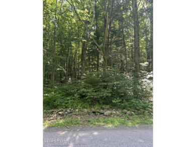 Exceptional opportunity to own a buildable lot in the north on The Hideout Golf in Pennsylvania - for sale on GolfHomes.com, golf home, golf lot