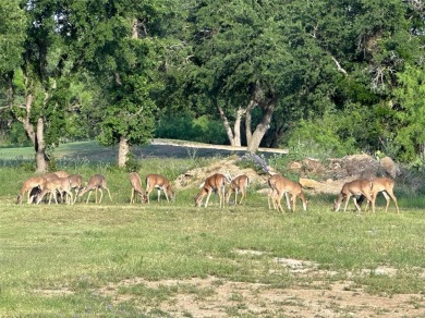 Lot 194, about a third of an acre, on Carie Drive in the Kings on Hideout Golf Club and Resort  in Texas - for sale on GolfHomes.com, golf home, golf lot