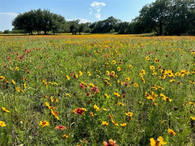 Lot 194, about a third of an acre, on Carie Drive in the Kings on Hideout Golf Club and Resort  in Texas - for sale on GolfHomes.com, golf home, golf lot