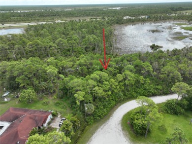 Great privacy lot, no rear neighbors with small water view. With on Seminole Lakes Country Club in Florida - for sale on GolfHomes.com, golf home, golf lot