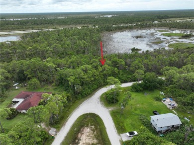 Great privacy lot, no rear neighbors with small water view. With on Seminole Lakes Country Club in Florida - for sale on GolfHomes.com, golf home, golf lot