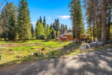 McCall Golf Course Frontage!  Great .29 acre partially wooded on McCall Municipal Golf Course in Idaho - for sale on GolfHomes.com, golf home, golf lot