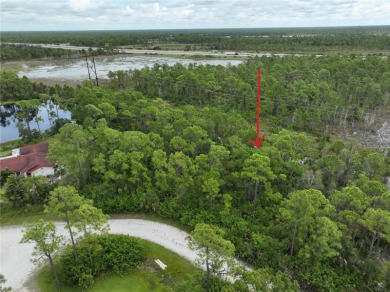 Great privacy lot, no rear neighbors with small water view. With on Seminole Lakes Country Club in Florida - for sale on GolfHomes.com, golf home, golf lot