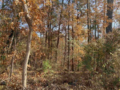 This is the wooded lot in Buies Creek that you've been waiting on Keith Hills Country Club  in North Carolina - for sale on GolfHomes.com, golf home, golf lot