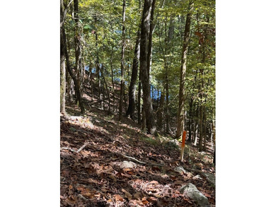 Beautiful wooded lot located in the Diamondhead Community. The on Diamondhead Golf and Country Club in Arkansas - for sale on GolfHomes.com, golf home, golf lot