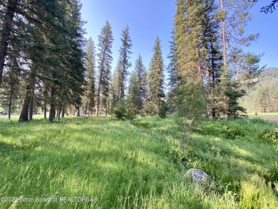 Snake River Sporting Club Golf Course lot bordering the 7th on Snake River Sporting Club in Wyoming - for sale on GolfHomes.com, golf home, golf lot