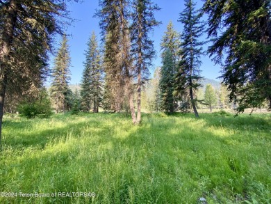 Snake River Sporting Club Golf Course lot bordering the 7th on Snake River Sporting Club in Wyoming - for sale on GolfHomes.com, golf home, golf lot