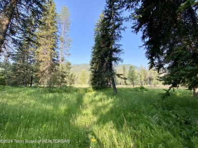 Snake River Sporting Club Golf Course lot bordering the 7th on Snake River Sporting Club in Wyoming - for sale on GolfHomes.com, golf home, golf lot