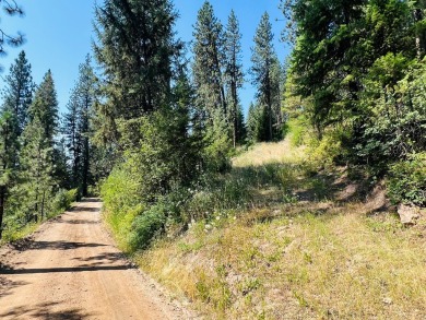 BEST PRICED LOT IN TERRACE LAKES!!! Gorgeous timbered view lot on Terrace Lakes Golf Resort in Idaho - for sale on GolfHomes.com, golf home, golf lot