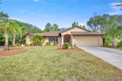 Welcome to this amazing Pool Home with a Brand New Roof! Located on Sugarmill Woods Golf and Country Club in Florida - for sale on GolfHomes.com, golf home, golf lot