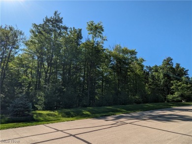 Welcome to one of Hinckley's premier subdivision, River Valley on Valleaire Golf Club in Ohio - for sale on GolfHomes.com, golf home, golf lot