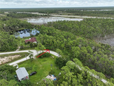 Great privacy lot, no rear neighbors with small water view. With on Seminole Lakes Country Club in Florida - for sale on GolfHomes.com, golf home, golf lot