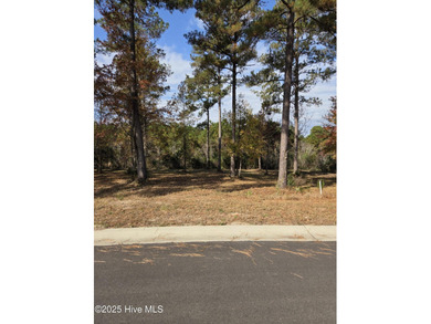 Ocean Ridge Plantation is home to the elegant country club on Sea Trail Golf Resort in North Carolina - for sale on GolfHomes.com, golf home, golf lot