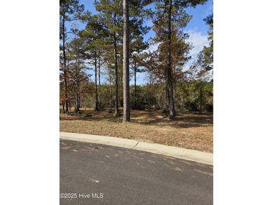 Ocean Ridge Plantation is home to the elegant country club on Sea Trail Golf Resort in North Carolina - for sale on GolfHomes.com, golf home, golf lot