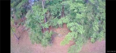 This Corner and Cleared Vacant Land is located in Citrus Springs on Pine Ridge Community Golf and Country Club in Florida - for sale on GolfHomes.com, golf home, golf lot