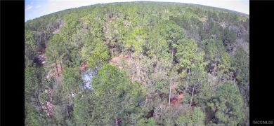 This Corner and Cleared Vacant Land is located in Citrus Springs on Pine Ridge Community Golf and Country Club in Florida - for sale on GolfHomes.com, golf home, golf lot