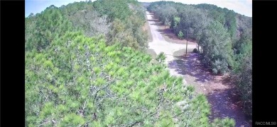 This Corner and Cleared Vacant Land is located in Citrus Springs on Pine Ridge Community Golf and Country Club in Florida - for sale on GolfHomes.com, golf home, golf lot