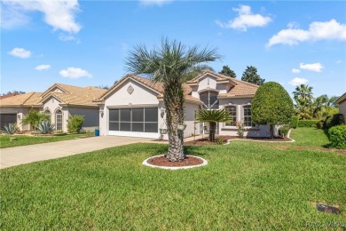 Wish you had a beautiful carefree home with an amazing fence for on Skyview At Terra Vista Golf and Country Club in Florida - for sale on GolfHomes.com, golf home, golf lot